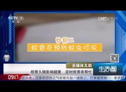 蚊香舍最新在线视频,夏日驱蚊秘籍大公开！
