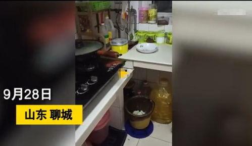 厨房里在线视频,跟随在线视频探索美食奥秘